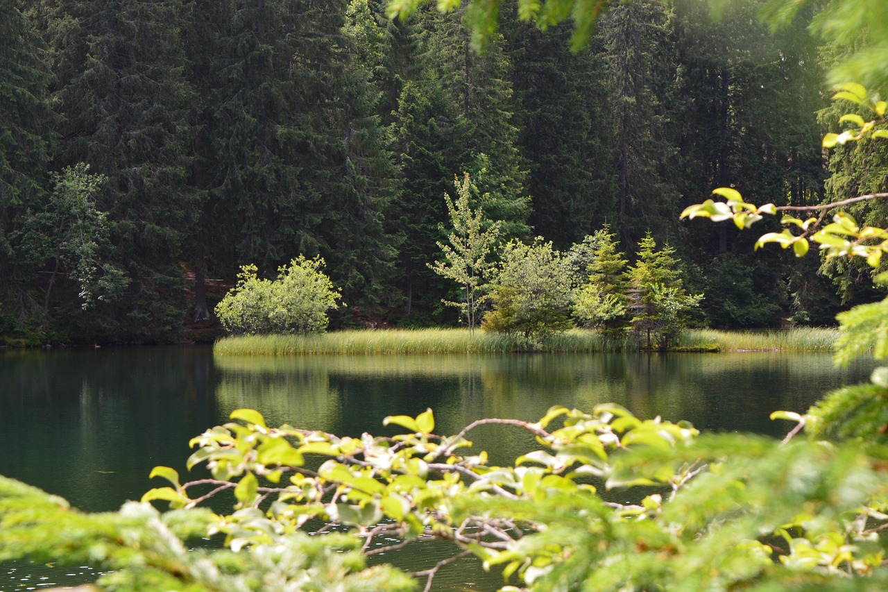 Vrbické pleso